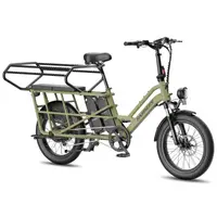 Bicicletă electrică cargo FAFREES FF20 CUV, baterie dublă 15AH