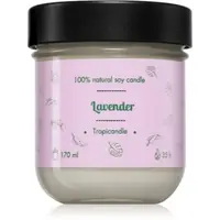 Tropicandle Lavender lumânare parfumată