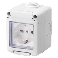 Watertight Enclosure Complete With System Devices - With Socket-Outlet 2p+e 16 a Dual Amperage - Italian/german Standard - Ip55 - Grey Ral 7035