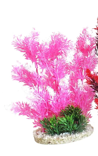 Sydeco Planta Aquaplant Color Hedge 24 cm 349903