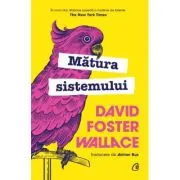 Matura sistemului