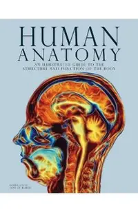 Human Anatomy -