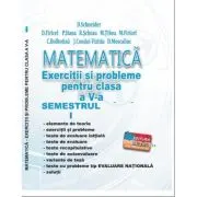 MATEMATICA Exercitii si probleme clasa a 5-a Semestrul 1