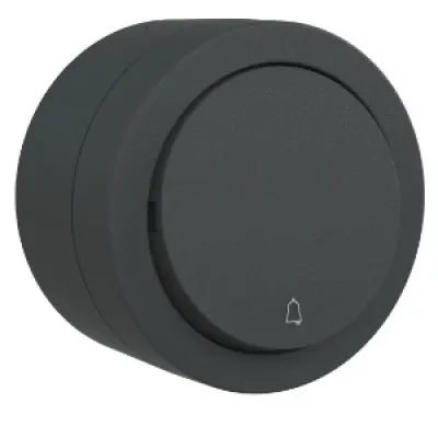 Intrerupator Sonerie PT xOne Ovivo OV00945, 10A, 250V, IP20, antracit