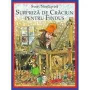 Surpriza de Craciun pentru Findus
