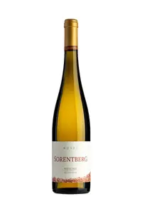 Vin Alb Riesling Rotschiefer Sorentberg Trocken Castelfeder 2020 0.75l