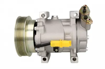 Compresor Ac Clima Nissan Cube, Juke, Micra Iii, Note, Nv200, Nv200 Evalia, Qashqai I; Renault Clio, Clio Iii, Kangoo, Kangoo Be Bop, Kangoo Express, Modus, Twingo Ii 1.2-1.6lpg Dupa 2003