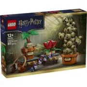 LEGO Harry Potter. Plante pentru ora de ierbologie de la Hogwarts 76474, 817 piese