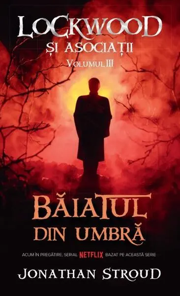 Băiatul din umbră. Seria Lockwood și asociații (Vol.3) - Paperback brosat - Jonathan Stroud