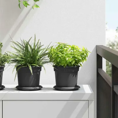 vidaXL Ghiveci rotund pentru flori 6 buc. Negru Ø 15 x 12 cm Plastic
