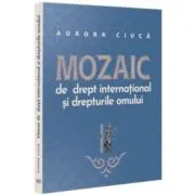 Mozaic de drept international si drepturile omului