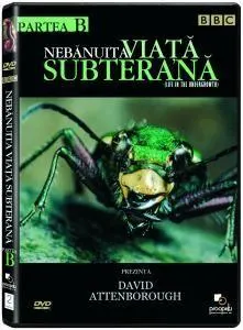 Nebanuita Viata Subterana Partea B