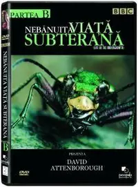 Nebanuita Viata Subterana Partea B