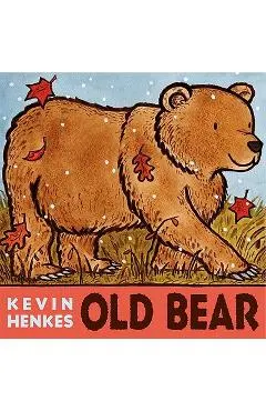 Old Bear Board Book
