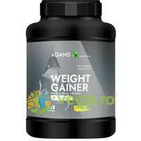 Complex Proteic cu Multivitamine pentru Cresterea in Greutate cu Aroma de Vanilie 3kg