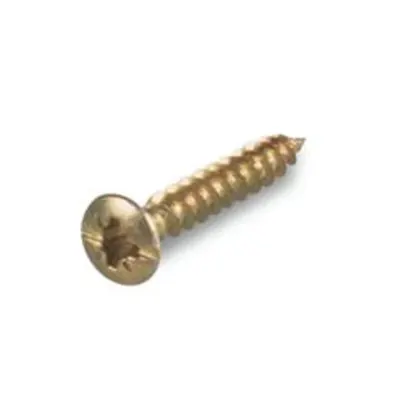 Screws For Coversn3x19mm Thermoplastic