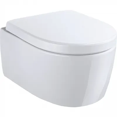 Set vas wc suspendat rimless cu capac soft close, forma ovala, alb, Geberit iCon