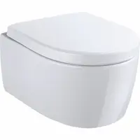 Set vas wc suspendat rimless cu capac soft close, forma ovala, alb, Geberit iCon