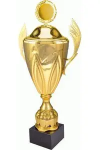 Cupa cu Capac 4216/