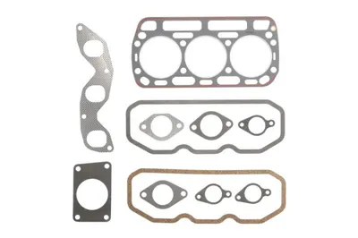 Set garnituri motor D-111 potrivit CASE IH D 320, D 320 S, D 322, D 324, D 324 S, D 326