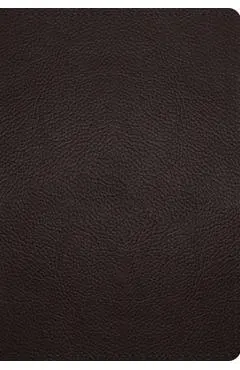 ESV Large Print Compact Bible, Red Letter (Buffalo Leather, Deep Brown)