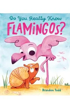 Do You Really Know Flamingos?
