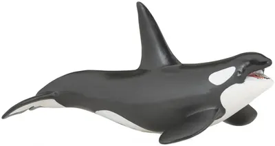 Figurina Papo Marine Life – Balena ucigasa