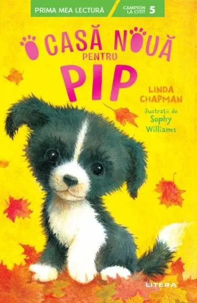O casă nouă pentru Pip - Paperback brosat - Linda Chapman