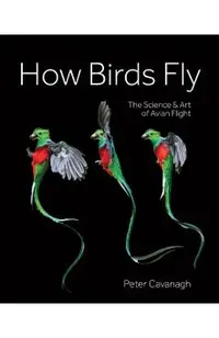 How Birds Fly