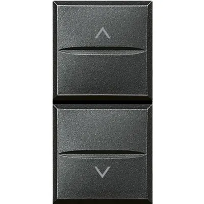 Buton dublu cu interblocare pentru storuri rulante Axolute - Antracit - 1 modul