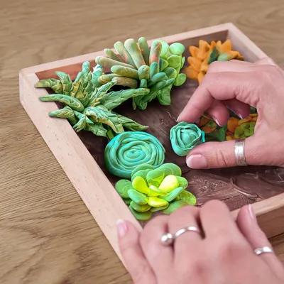 Set creativ - Wood&Craft DIY Succulents - Energy