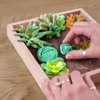 Set creativ - Wood&Craft DIY Succulents - Energy