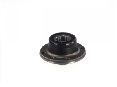 Kit rulmenti roata Spate Dreapta Stanga (cu mufa) (30x117,5x61) potrivit FIAT DOBLO, DOBLO MINIVAN, PUNTO, STILO, TIPO 1.2-2.4 03.93