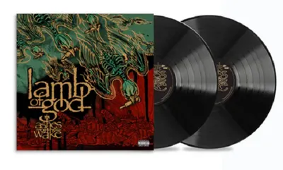 Ashes Of The Wake - Vinyl