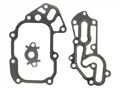 Garnitura radiator ulei (set) potrivit MULTICAR FUMO F1CE0481F 09.06