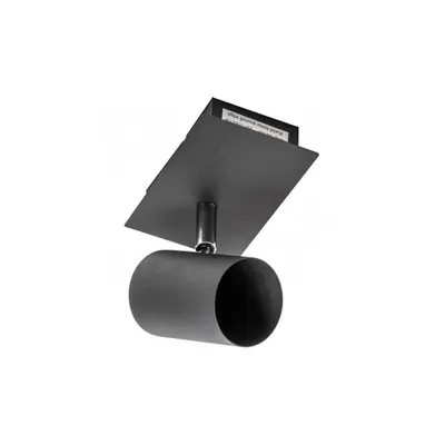 Spot - Ceiling luminaire VENETO, IP20, max. 20W, 1 x GU10, round, black