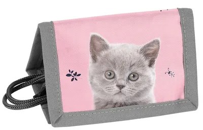 Portofel cu șiret Paso Cat