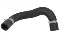 Furtun radiator inferior potrivit KIA PICANTO II 1.0 05.11-03.17