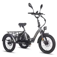 Tricicletă electrică pliabilă pentru oraș, pentru adulți, 250W, 20Ah, F20 Mate