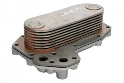 Radiator ulei (78x57x218mm, numar de nervuri: 8) potrivit MERCEDES ATEGO, ATEGO 2, AXOR, AXOR 2, CITARO 2, CITARO (O 530), CONECTO (O 345), ECONIC M902.903-OM926.996 01.70