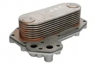 Radiator ulei (78x57x218mm, numar de nervuri: 8) potrivit MERCEDES ATEGO, ATEGO 2, AXOR, AXOR 2, CITARO 2, CITARO (O 530), CONECTO (O 345), ECONIC M902.903-OM926.996 01.70-