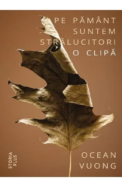 Pe Pământ suntem strălucitori o clipă - Paperback brosat - Ocean Vuong