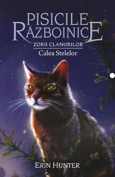 Pisicile războinice. Zorii clanurilor. Calea Stelelor (Vol. 30) - Paperback brosat - Erin Hunter