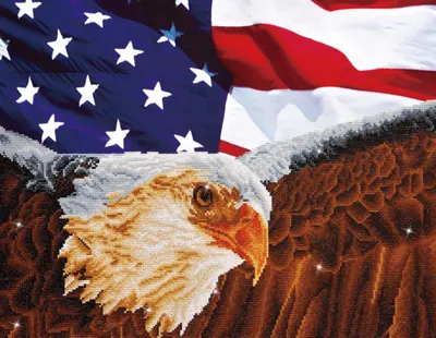 Tablou cu diamante - Vultur și drapel american, 56 x 71 cm