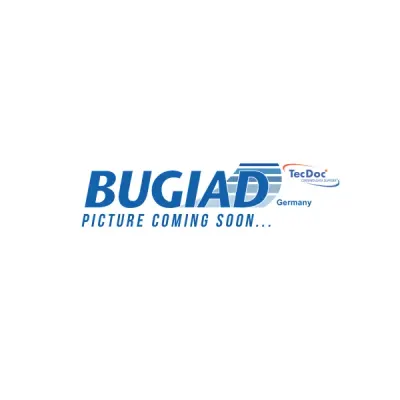 Incuietoare usa BUGIAD BDL12901