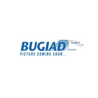 Incuietoare usa BUGIAD BDL12901