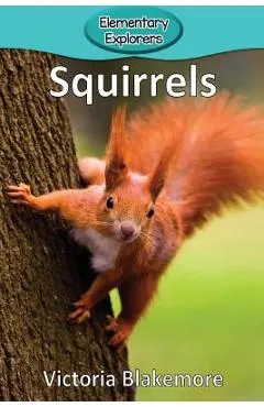 Squirrels
