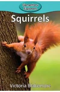 Squirrels