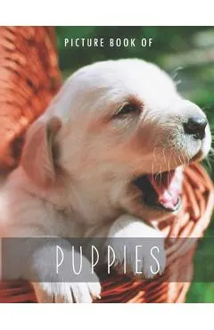 Picture Book of Puppies: for Alzheimer's Patients and Seniors with Dementia.