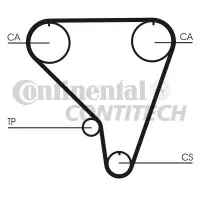 Curea de distributie CONTITECH CT789